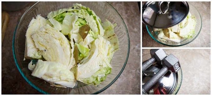 Easy Pickled Cabbage (5)